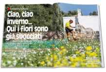 Ciao, ciao inverno… Qui i fiori sono già sbocciati