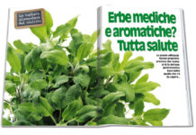 Erbe mediche e aromatiche? Tutta salute