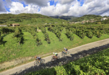 Prosecco Cycling 2022: inizia la festa del Prestigio a Valdobbiadene La Prosecco Cycling