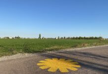 Ciclovia del Sole: prorogata fino al 22 ottobre la chiusura del tratto tra Camposanto e San Felice sul Panaro