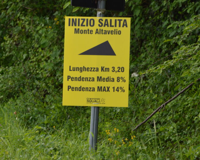 Gf degli squali