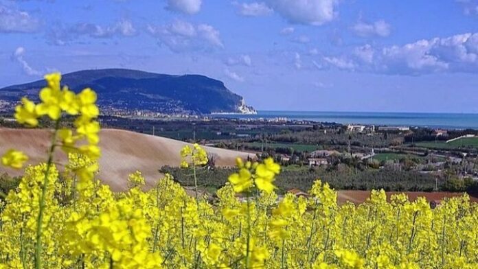 Gran Fondo Nibali