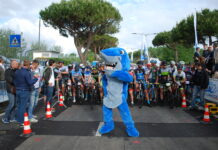 Circuito Gran Fondo Marche, ecco le sette prove del 2026 Gran Fondo Marche