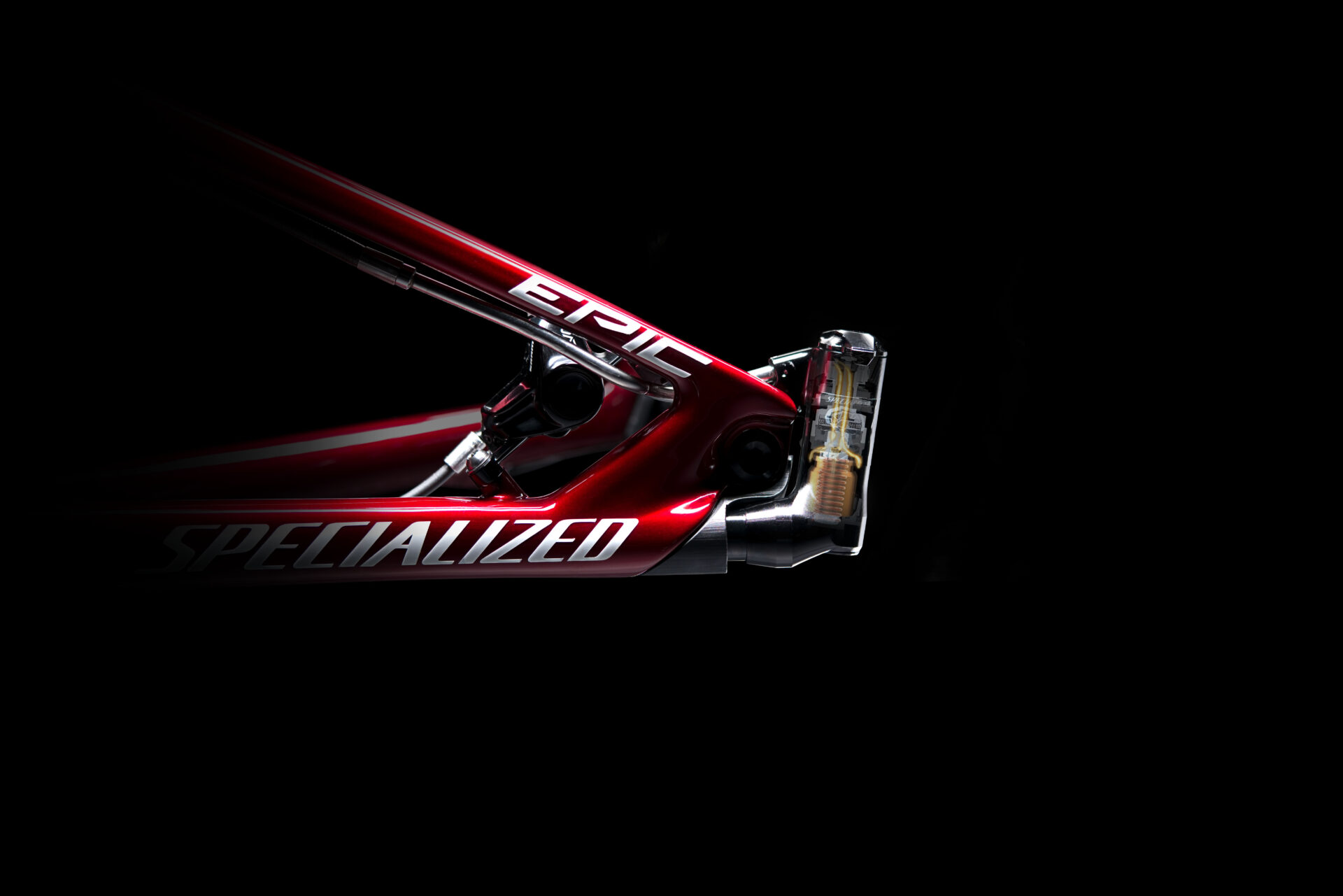 Specialized