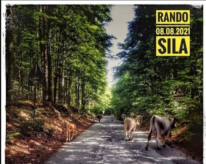 Rando Sila Extreme