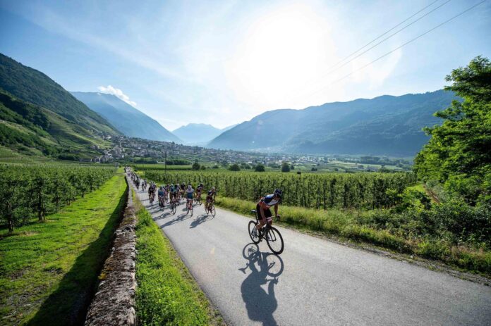 Gran Fondo Stelvio Santini