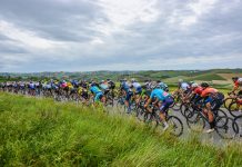 Gran Fondo Squali: al via le iscrizioni per l’edizione 2022