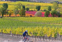 Val d’Orcia Gravel: data, bici e percorsi. Frugale, Saporito e Goloso