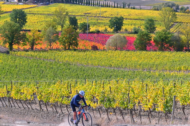 Val d'Orcia Gravel