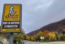 Giro nel Parco 2022, clamoroso rinvio a quattro giorni dall’evento: il punto del comitato organizzatore