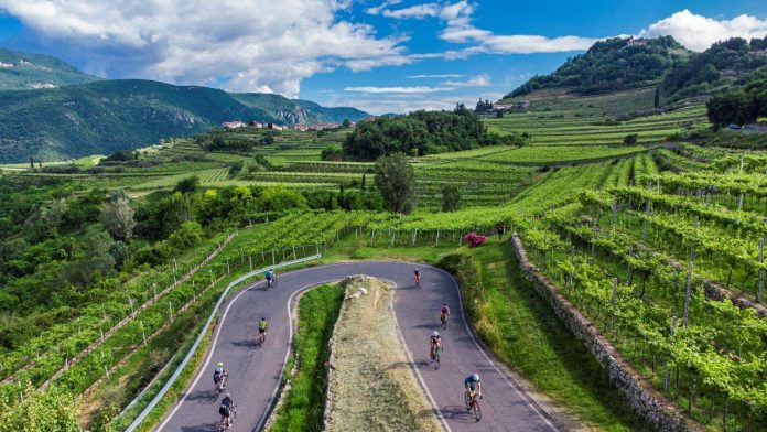 Alé La Merckx 2022