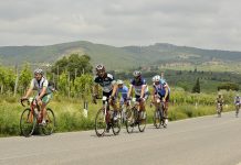 Chianti Classic: i cinque percorsi a Castelnuovo Berardenga
