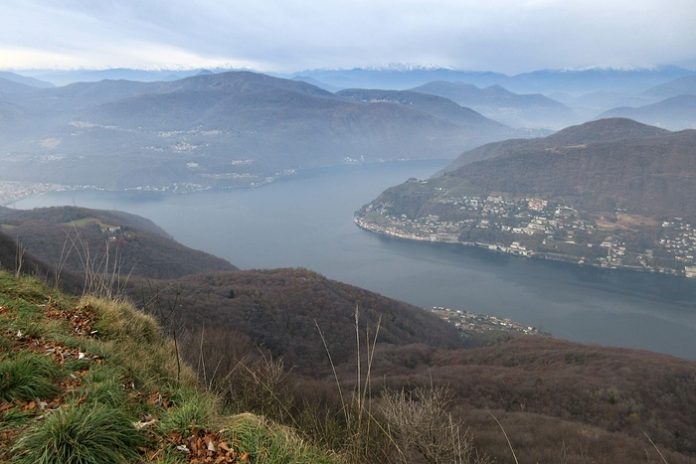 RandoNovatese