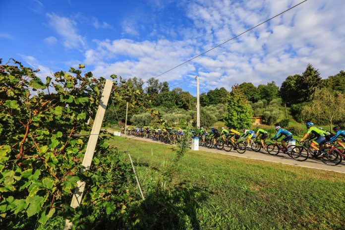 Prosecco Cycling