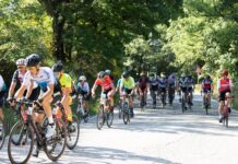 Straducale Urbino: appuntamento al 25 giugno 2023 Straducale