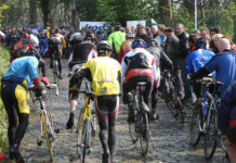 Bike Division: il Tour Operator che aiuta a vivere splendide esperienze con il massimo comfort GF