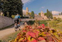 Terre Nobili Gravel (17 giugno): pedalate per scoprire le bellezze della natura veneta. Quattro meravigliosi percorsi cicloturistici vi attendono!