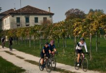 Gravel in The Land of Venice: dieci percorsi tutti da scoprire