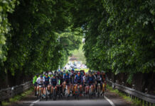 Oggi è la Giornata Mondiale della Bicicletta (che salverà il mondo)