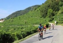 GF Segafredo, domenica il Piccolo Fiandre del Veneto
