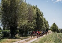Via dei Berici, la Gravel che ti fa sentire al centro del mondo
