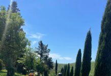 Ganza Gravel, la Toscana come non l’avete mai vista (né pedalata)