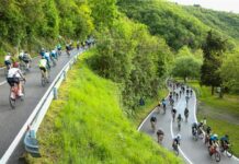 Progetto 3R: il punto sulle Granfondo il 25 novembre a Bergamo