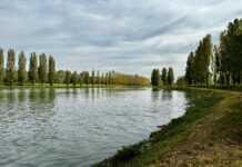 Bergamo Gravel Social Ride: appuntamento al Rudun di Groppello