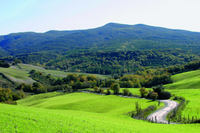 Berignone-Riserva-Naturale