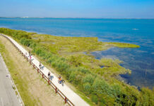 Bike Tour per tutti i gusti a Lignano Sabbiadoro: il paradiso dei ciclisti Bike Tour