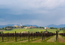 NOVA Eroica Prosecco Hills, la leggenda del gravel continua