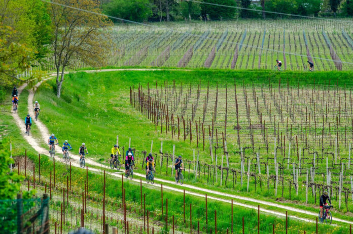 unnamed NOVA Eroica Prosecco Hills 2024