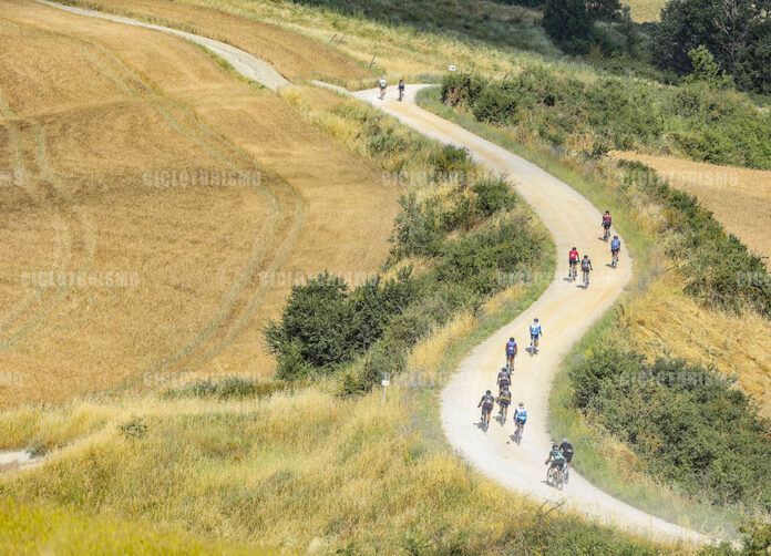 Gallery-Nova-Eroica-2024-8