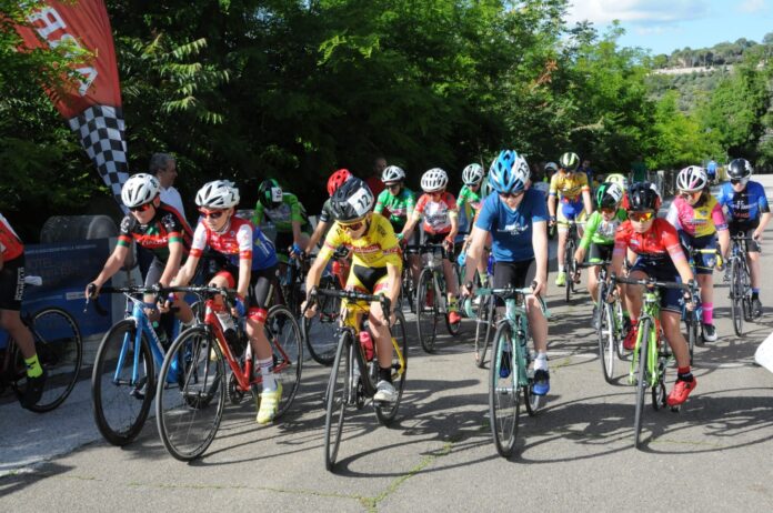 Memorial Cesarini