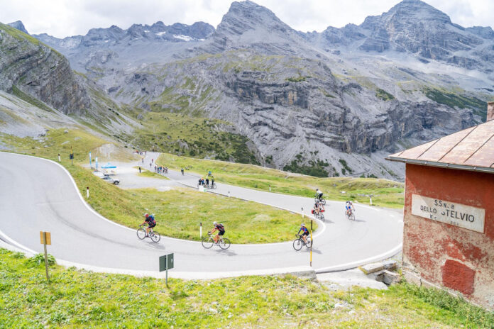 unnamed Stelvio