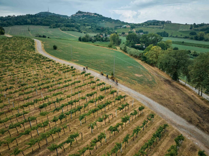 Strade Bianche del Sale Fantini