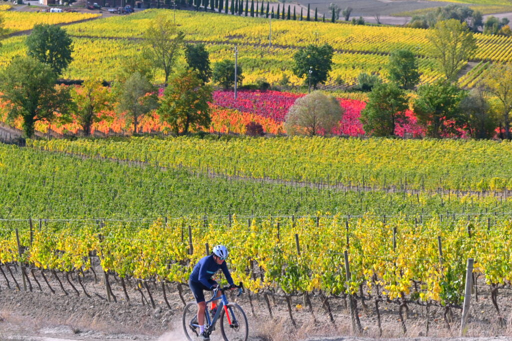 Val d'Orcia Gravel