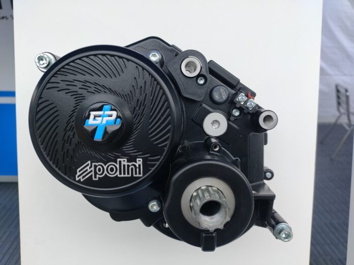 Polini