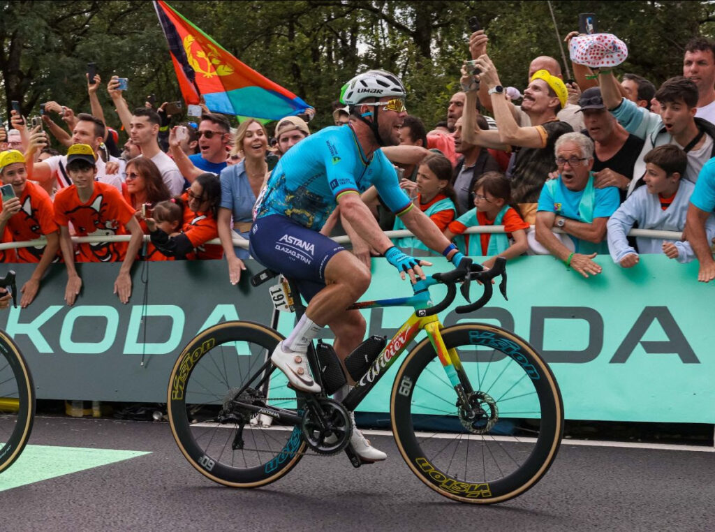Cavendish