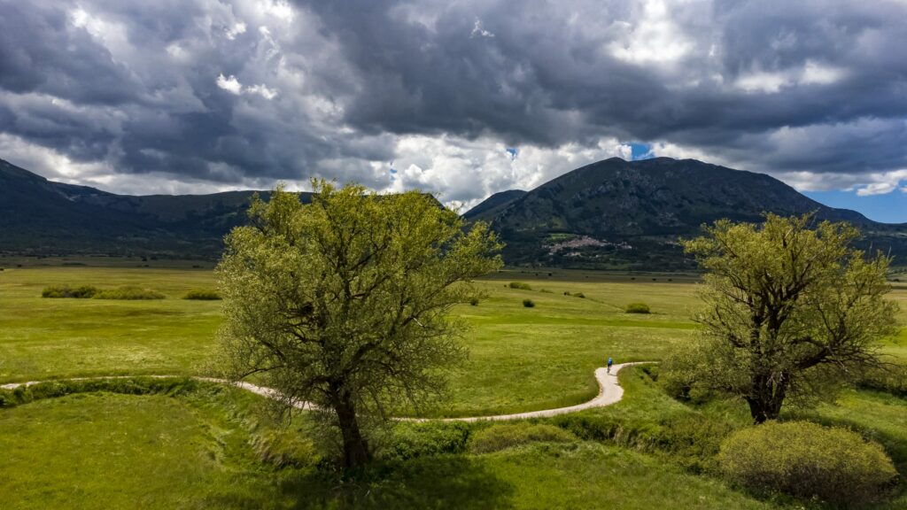 Vie del Bike
