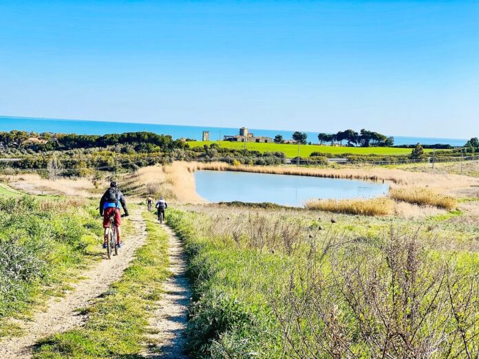 Molise Trail 36_17854657059324122_4224614832763774834_n Molise Trail