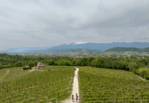 Nova Eroica Prosecco Hills: il gravel tra le colline Unesco Nova Eroica Prosecco Hills