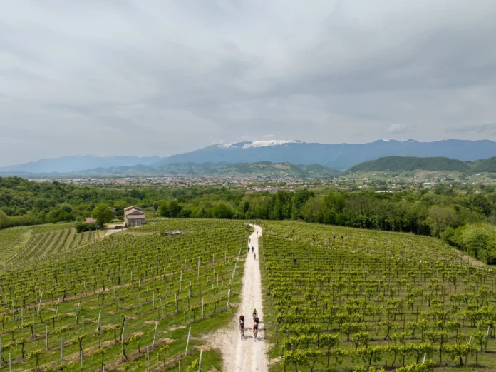Nova Eroica Prosecco Hills2 Nova Eroica Prosecco Hills