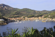 Florence Rando: da Firenze all’isola Elba, due brevetti in uno Florence Rando