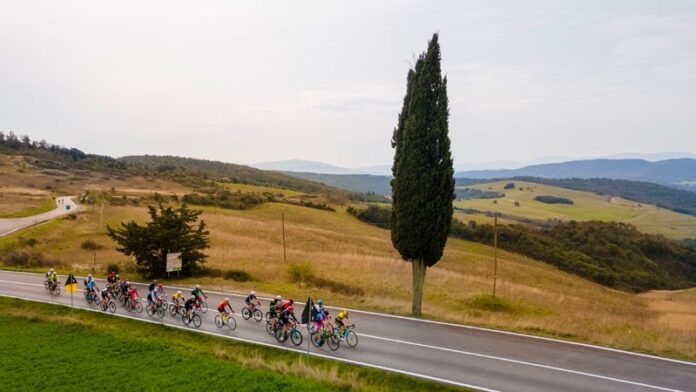 GF Vernaccia 514815849_739206838117720004_n