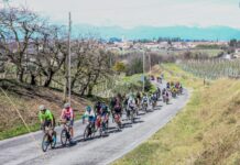 Domenica la Gran Fondo Garda Cycling: 90 chilometri e 1000 metri di dislivello Garda
