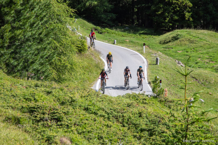 Gavia-Valtellina Valtellina