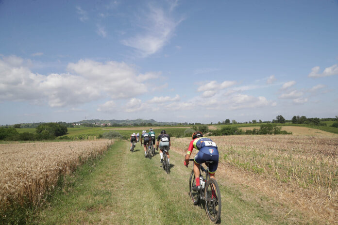 Circuito-Maxxis Maxxis