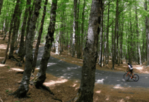 Alla scoperta del Colle del Lys, venti giorni prima del Giro d’Italia Colle del Lys