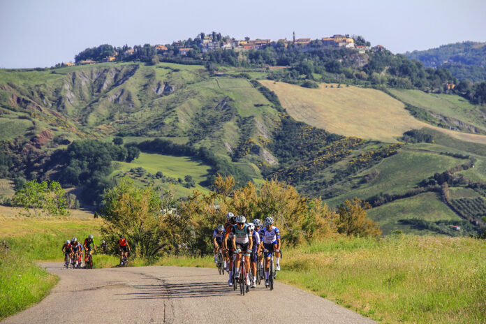 Squali Gran Fondo Squali Nalini Road Series
